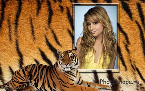 Рамка для фотошопа - Красивый тигр