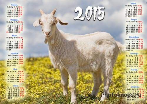 Красивый календарь - Коза на поле