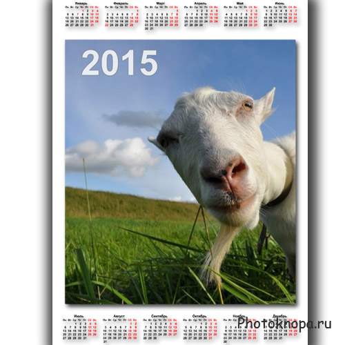 Календарь на 2015 год - Коза в объективе