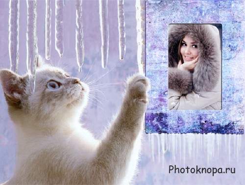  Рамка для фотошопа - Котик зимой 