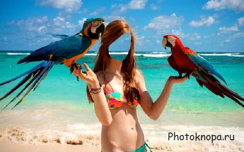 Шаблон для фото - Фото с двумя большими попугаями