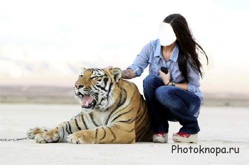 Женский шаблон - Фотосессия с красивым тигром