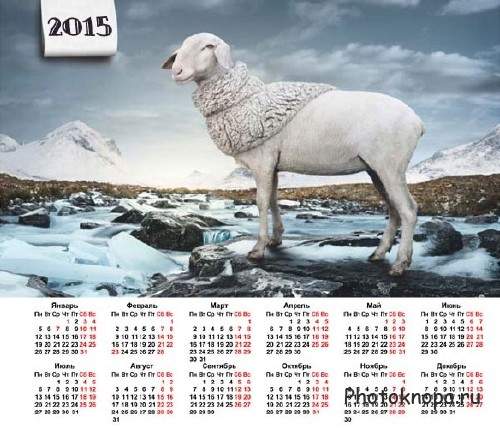 Настенный календарь - Веселая овца