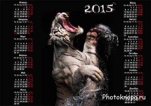  Календарь - Тигр в воде 