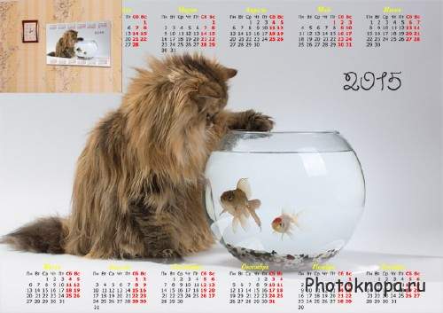  Календарь - Кошечка над рыбками 