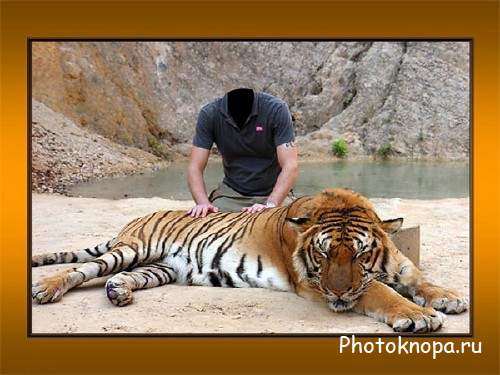 Шаблон для Photoshop - Парень с большим тигром