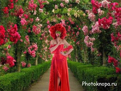 Шаблон для Photoshop - В красном платье на аллее роз