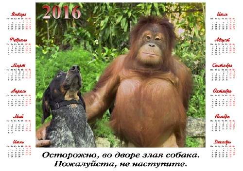 На 2016 год календарь - Обезьяна с собакой На 2016 год календарь - Обезьяна с собакой