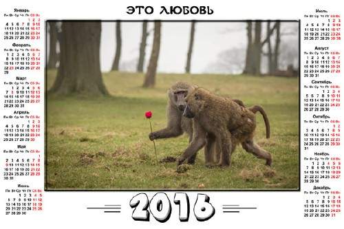 На 2016 год календарь - Роза для любимой На 2016 год календарь - Роза для любимой