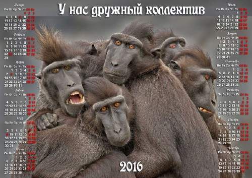 Календарь на 2016 год - Очень дружный коллектив Календарь на 2016 год - Очень дружный коллектив