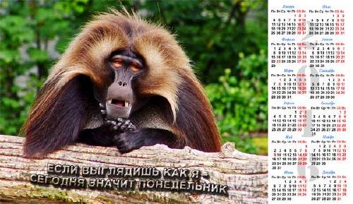 Календарная сетка - Сегодня значит понедельник Календарная сетка - Сегодня значит понедельник