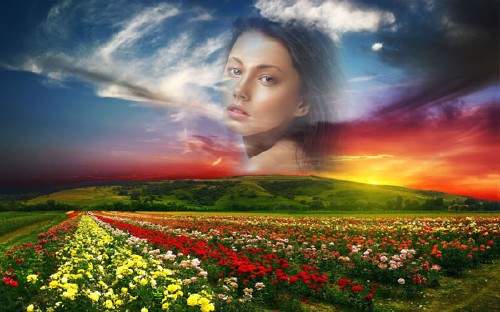 Фоторамка - Летние красивое поле Фоторамка - Летние красивое поле