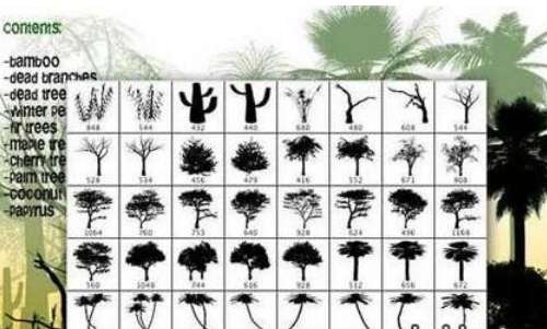   Photoshop 