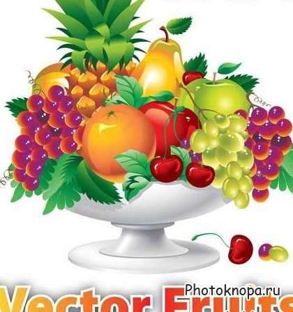 Клипарт спелые фрукты и овощи в векторе