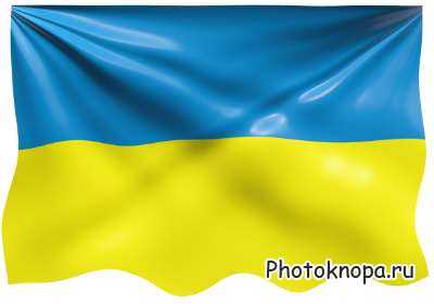 Флаг и герб Украины в векторе