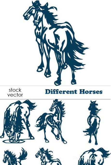 Лошади в векторе - Horses