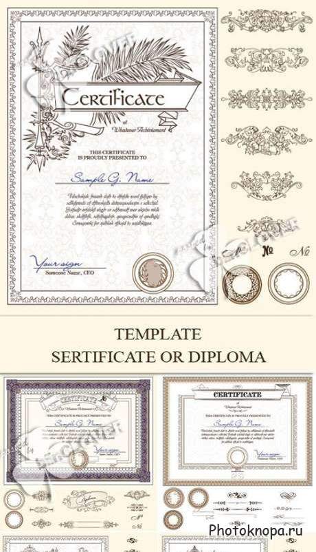 Декоративные сертификаты и узоры векторный клипарт