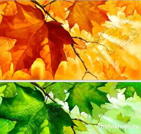 Осенняя природа и желтые листья - PSD шаблоны для фотошопа