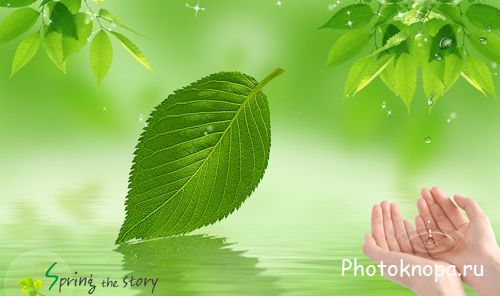 Лист с дерева и вода в ладонях - PSD шаблон для фотошопа