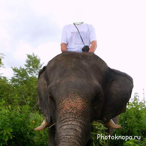 Шаблон для photoshop - Поездка на могучем слоне