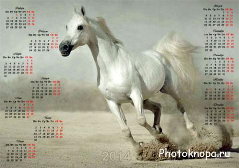 Настенный календарь - Белоснежная лошадь