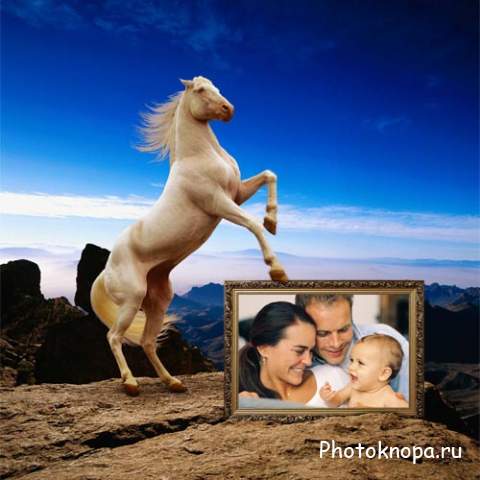 Рамка для фотошопа - Красивая лошадка на фоне синего неба