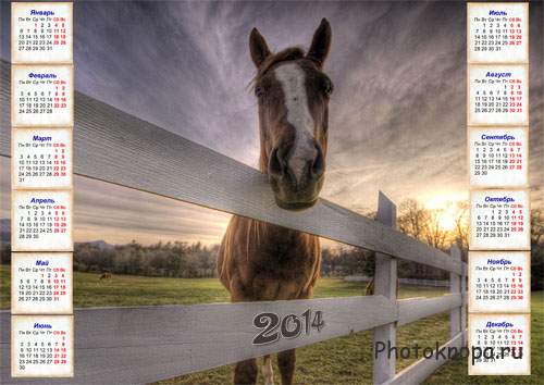 Красивая лошадка в загоне - календарь на 2014 год