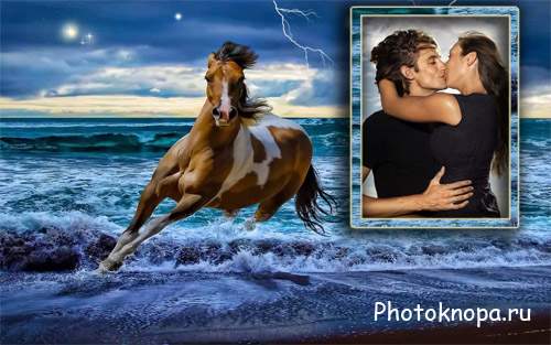 Быстро мчащаяся лошадь по берегу - рамка для фото