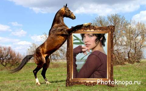 Конь с вашим фото - рамка для фотографии