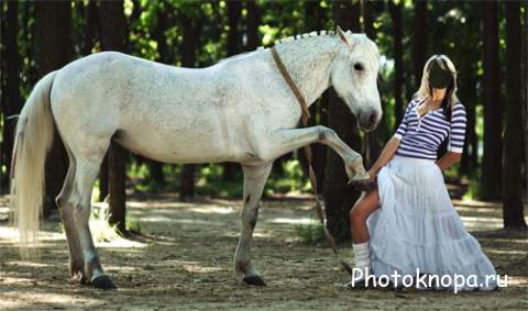 Фотосессия в лесу с белой лошадкой