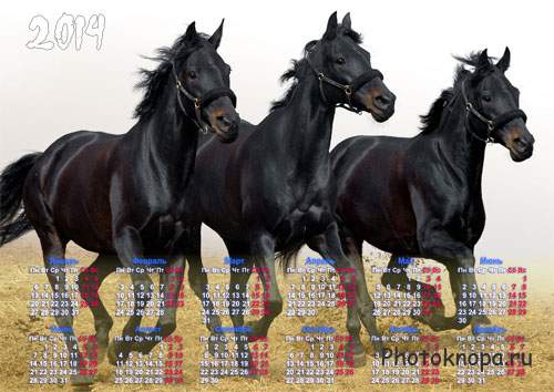 Календарь на 2014 - Мустанги