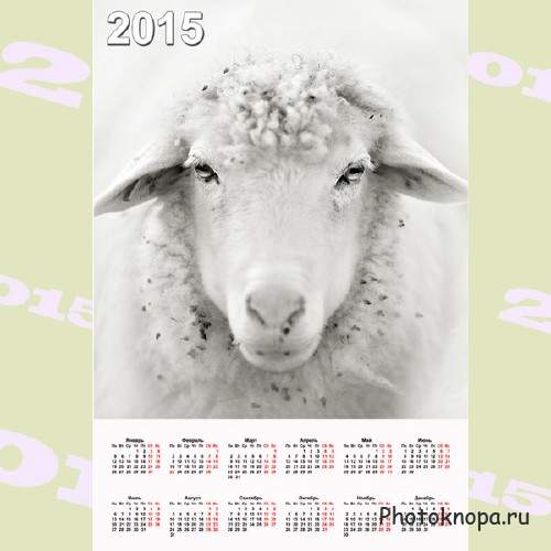 Настенный календарь - Белая овечка