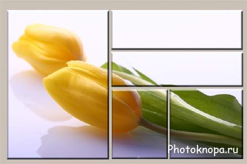  Модульная картина из 5 частей - Весенний цветок 