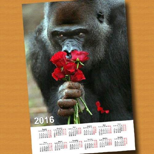 На 2016 год календарь - Обезьяна с цветами