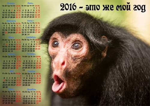 Календарная сетка - Год обезьяны