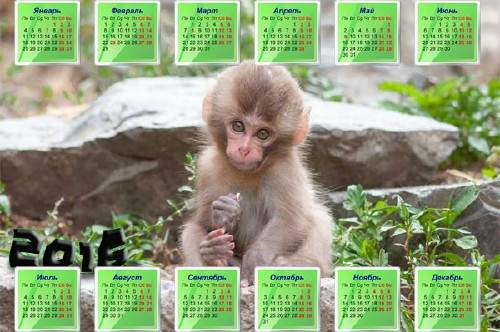 Милая обезьянка на камне - Календарь на 2016 год